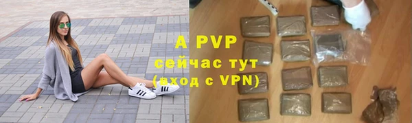 гидра Заводоуковск