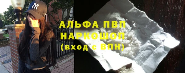 гидра Заводоуковск