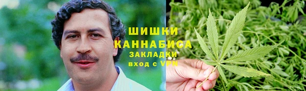 гидра Заводоуковск