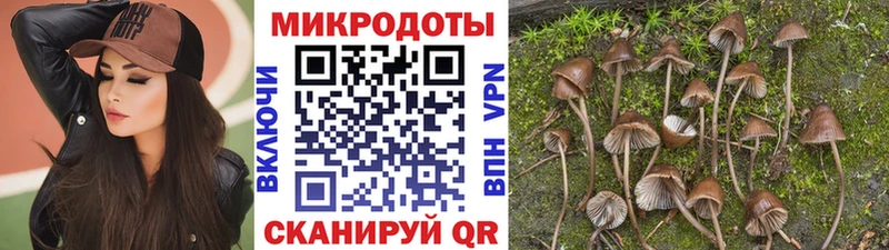 Галлюциногенные грибы GOLDEN TEACHER  Купить где  Тотьма 